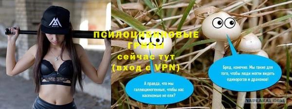 Альфа ПВП Россошь