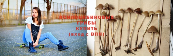 дурь Баксан