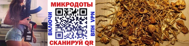 Галлюциногенные грибы ЛСД  Нерюнгри 